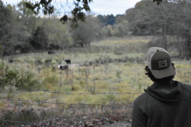 Outdoors Series Link